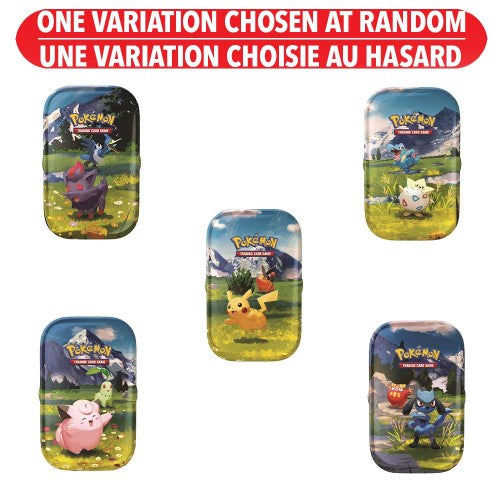 Pokémon TCG: Ascended Heroes Mini Tins, Assorted – The Next 10 Cards and  Collectibles